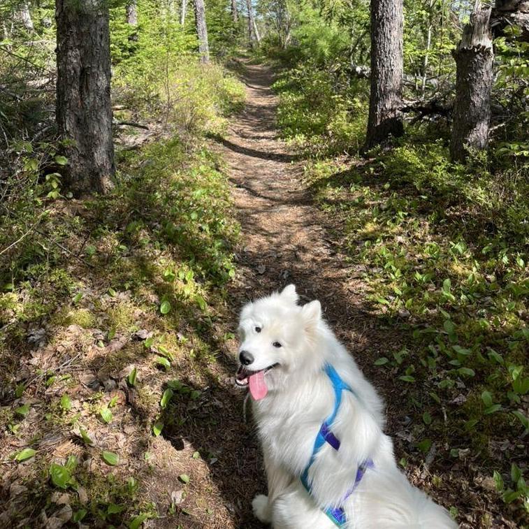 Luna aime marcher dans la nature / Luna loves walking in nature
