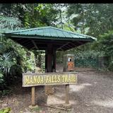 Manoa Falls Trail