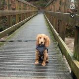 Dean Castle Country Park