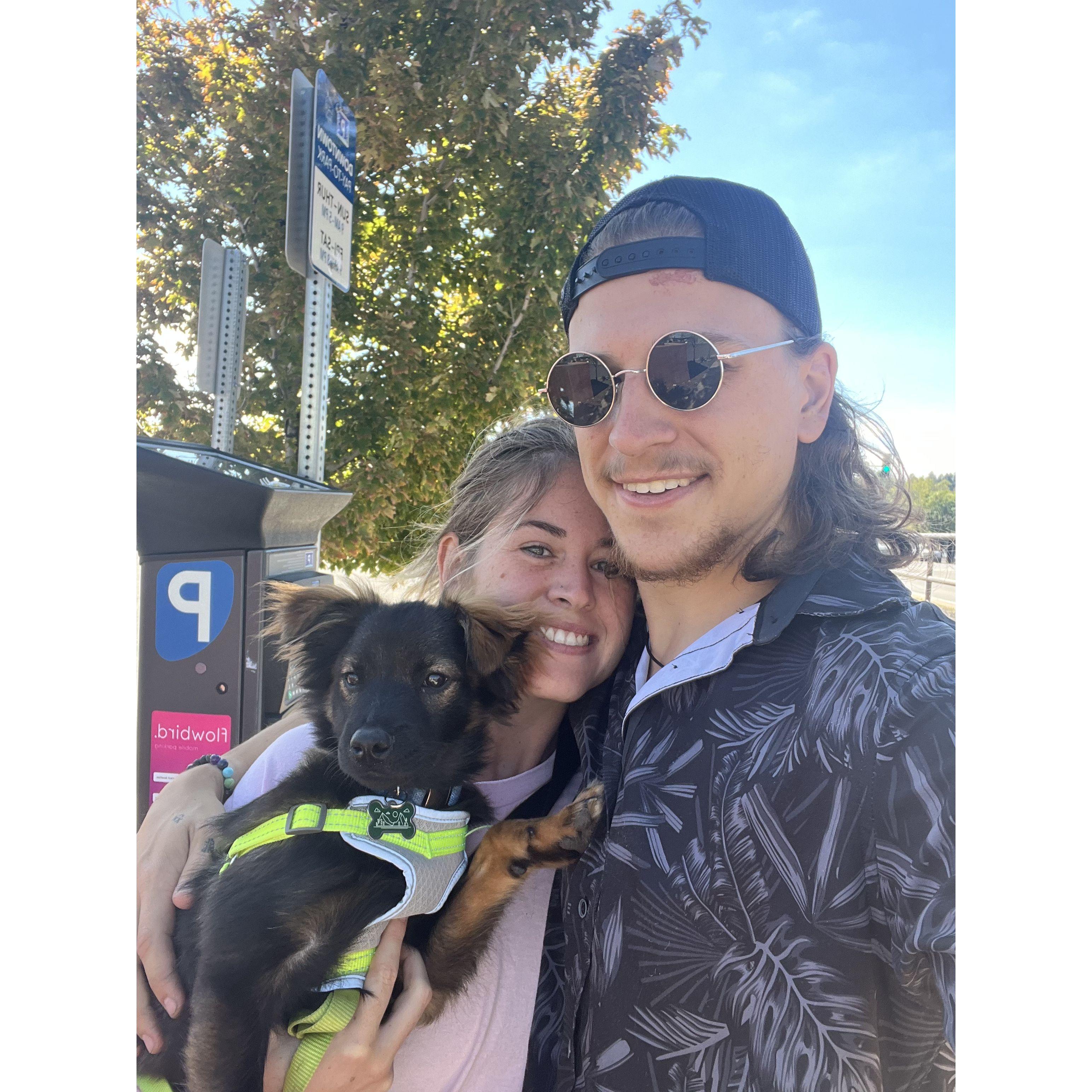 Our first fur baby and took him to his first trip to Flagstaff!