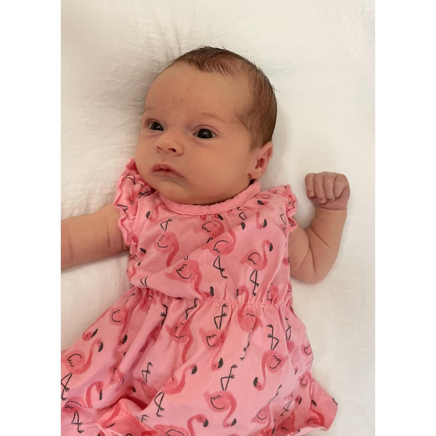 Elaina “Lainey” Rose Elworthy