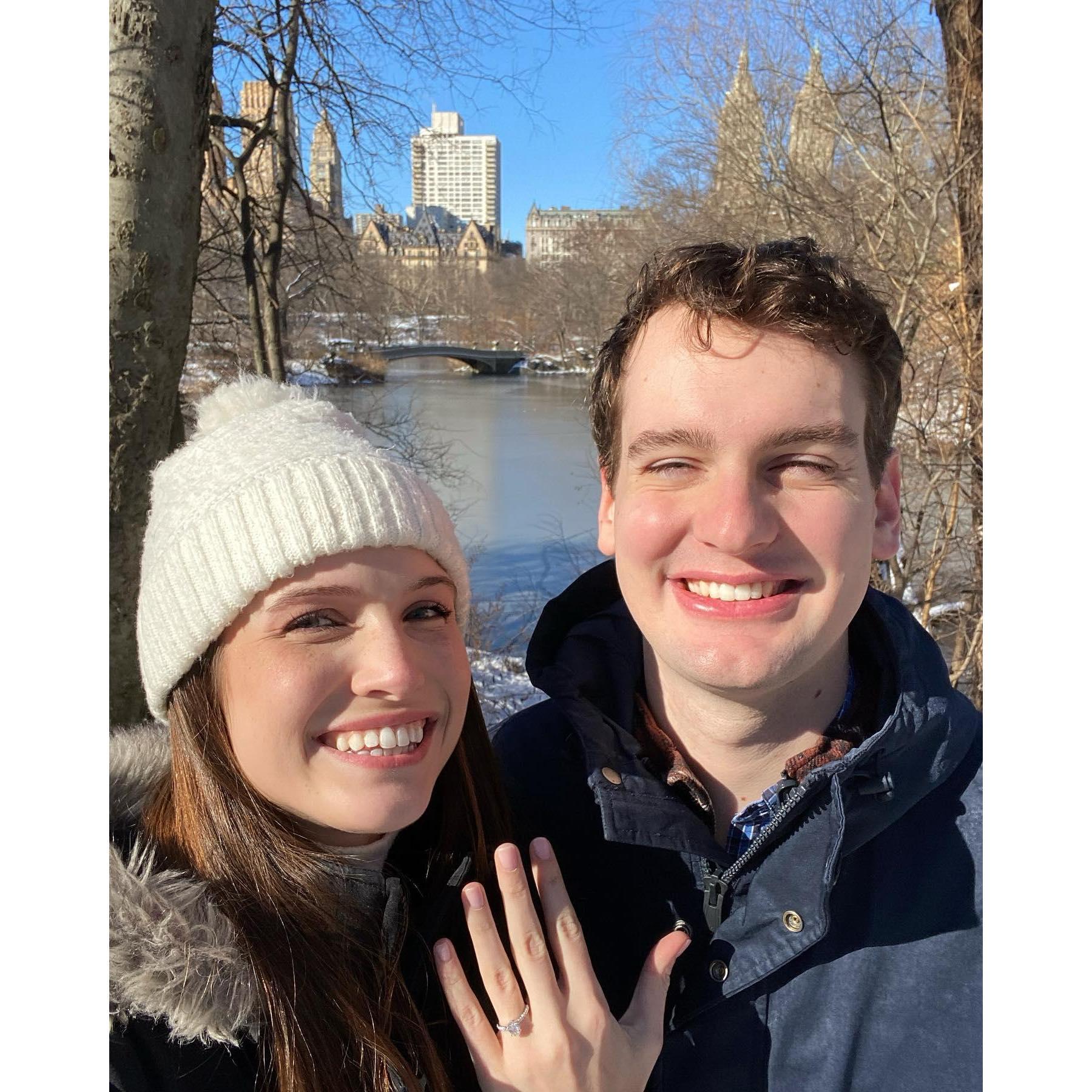 Our engagement in Central Park