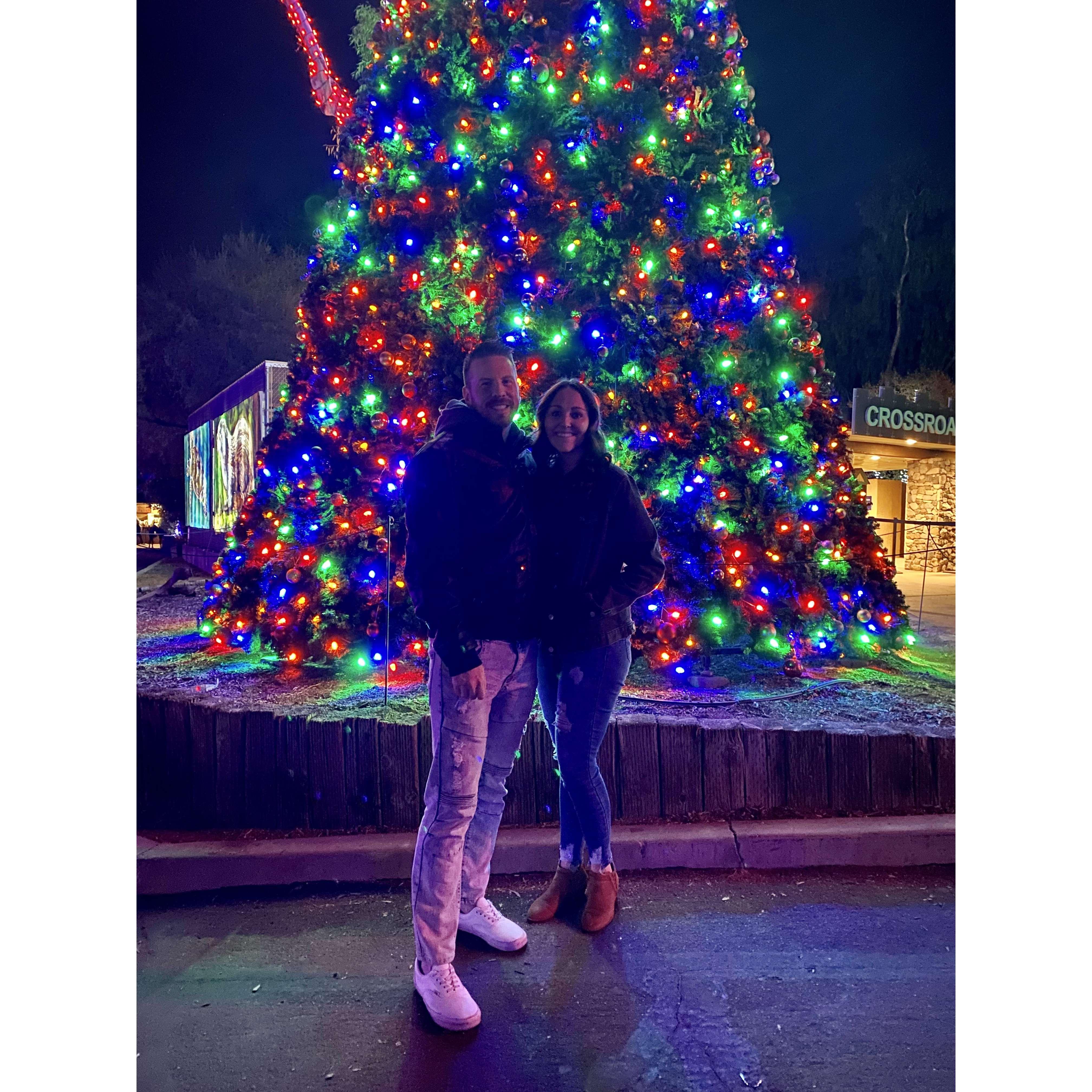 Our first date at Zoo Lights!
