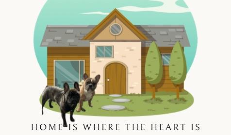 924b50f1-8c97-4d94-86b9-c8d849744c48