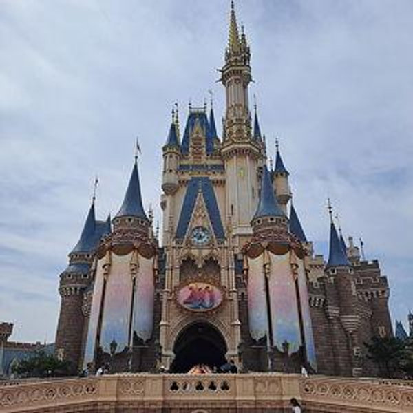 Tokyo Disneyland/DisneySea park hopper tickets for two