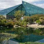 Rio Grande Nature Center Bosque Trail