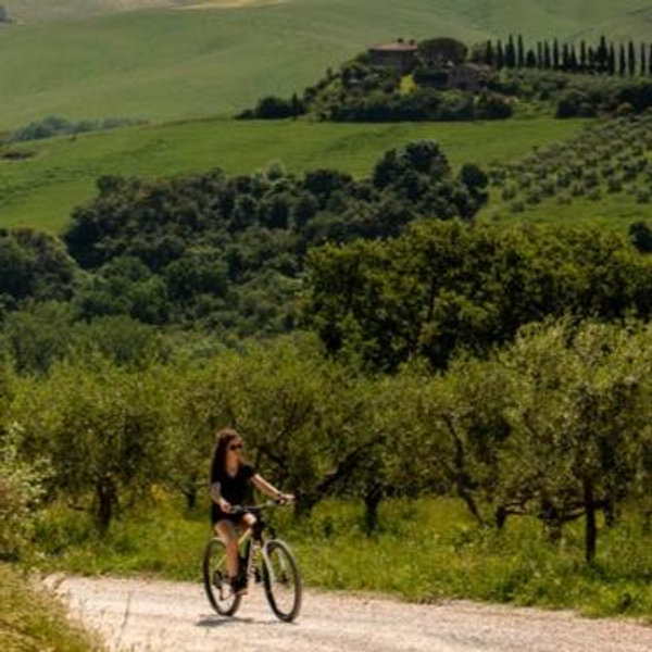 Tuscan E-Bike Rentals