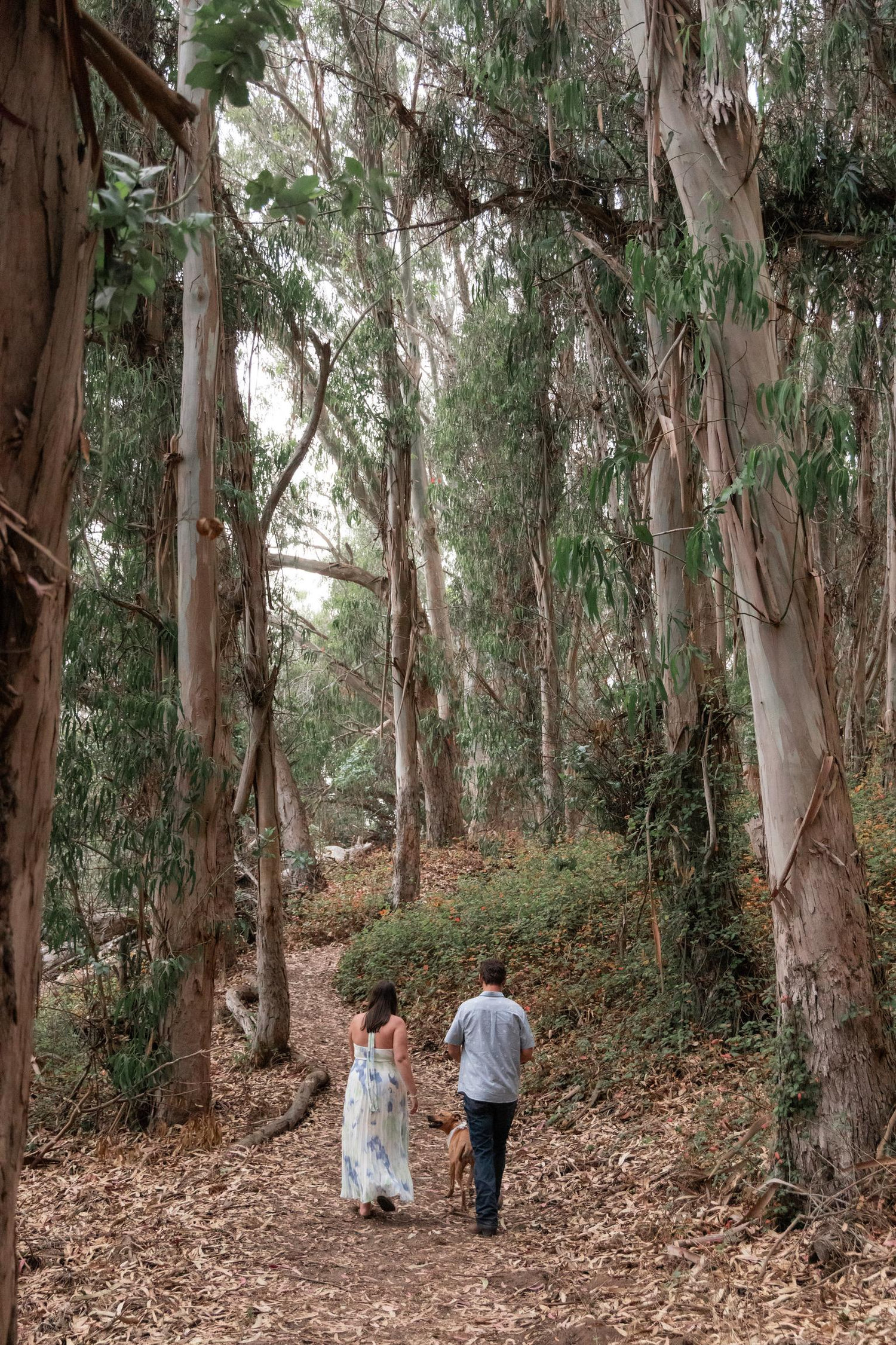 The Wedding Website of Sarah Mommer and Brian Woodard