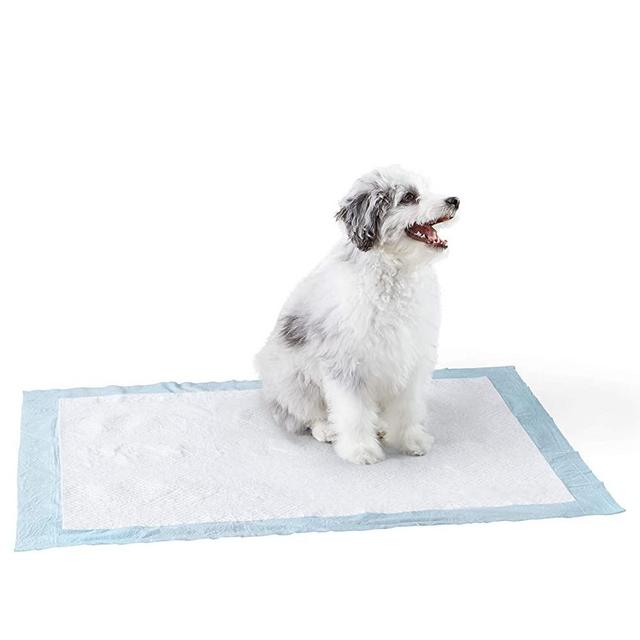 Amazon Basics Dog and Puppy Pads, Leak-proof 5-Layer Pee Pads with Quick-dry Surface for Potty Training