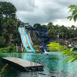 Weeki Wachee Spring