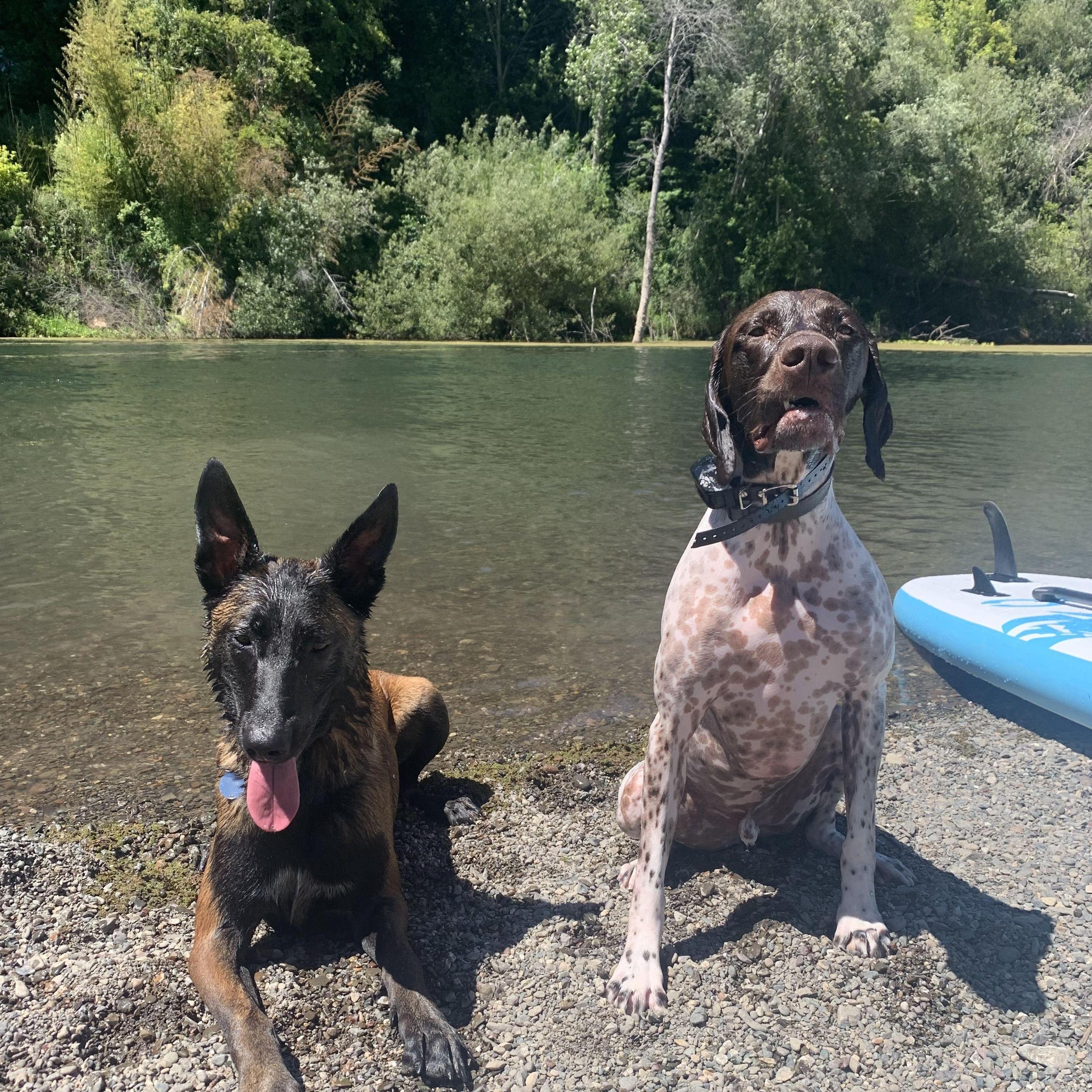 The real river rats
