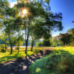 Great Bear Golf Club