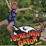 Gatorland