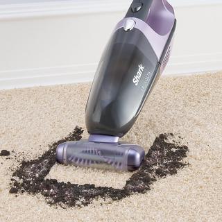 Cordless Pet Perfect II Handheld Vacuum