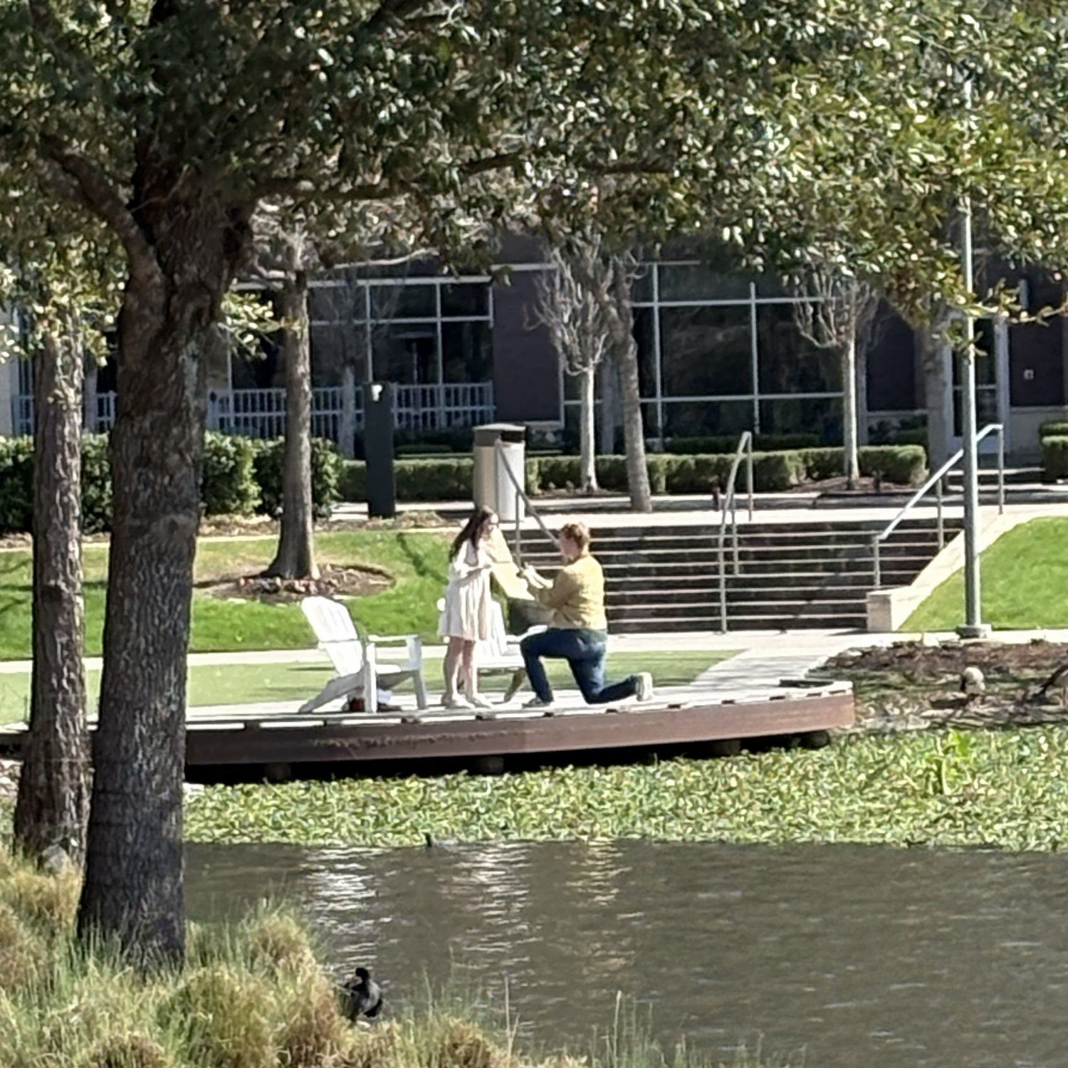 The proposal!