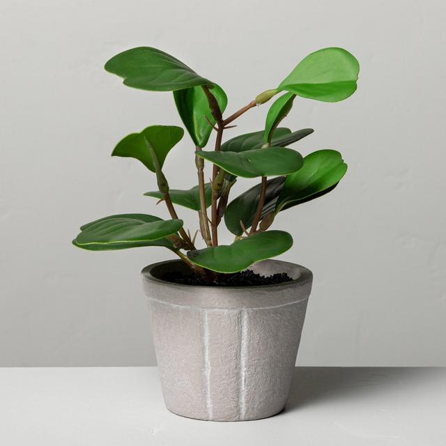 7" Mini Faux Hoya Heart Potted Plant - Hearth & Hand™ with Magnolia