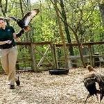 World Bird Sanctuary