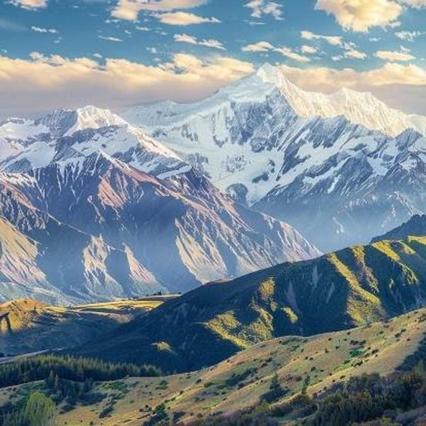 New Zealand Honeymoon Fund