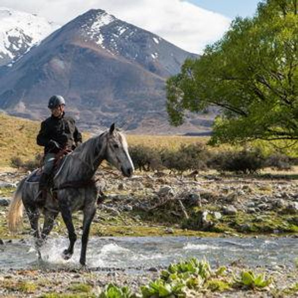 Honeymoon Horseback Trek in New Zealand