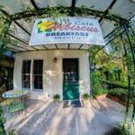 Hibiscus Café