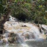 The World Famous Dunn's River Falls & Park
