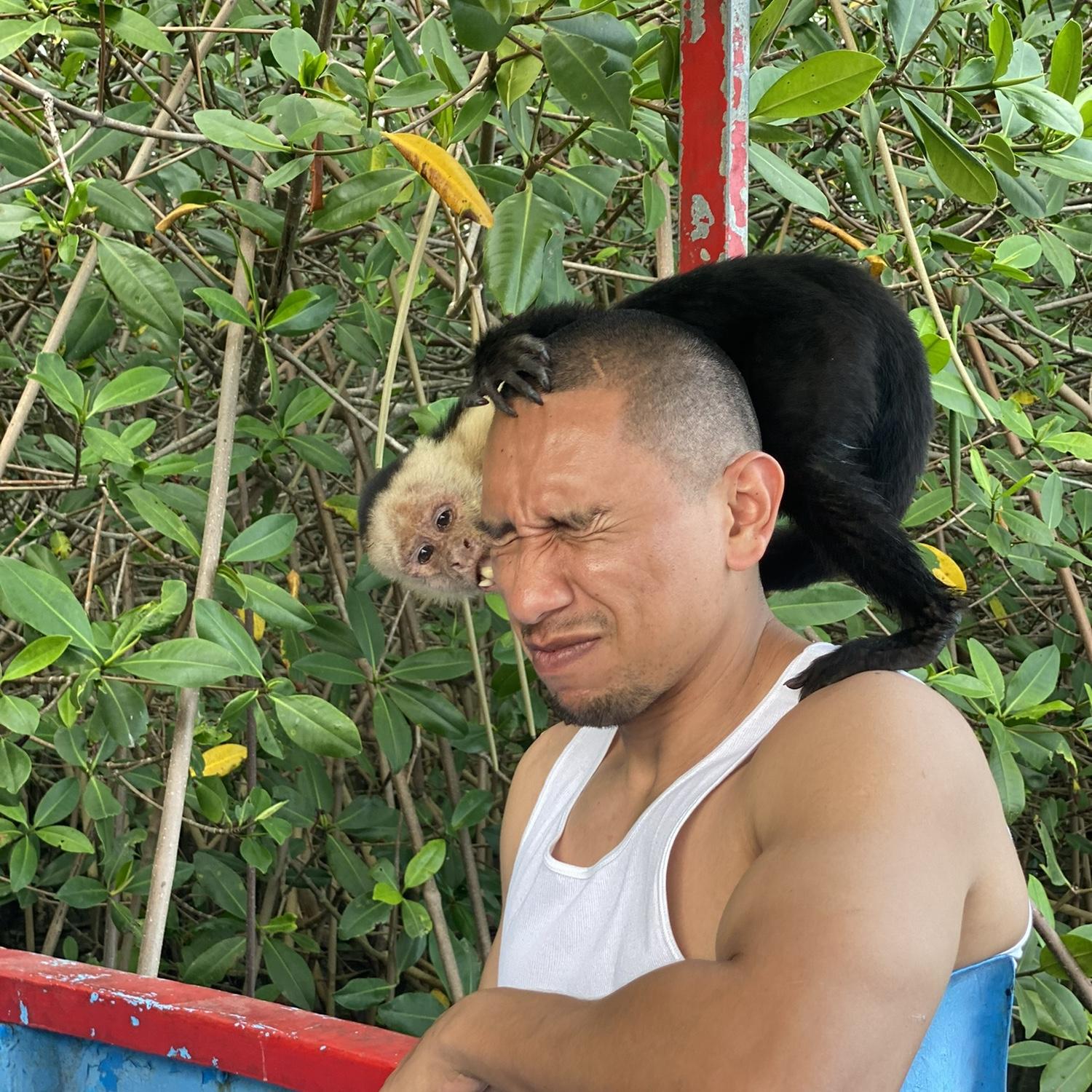 Costa Rica, 2024.