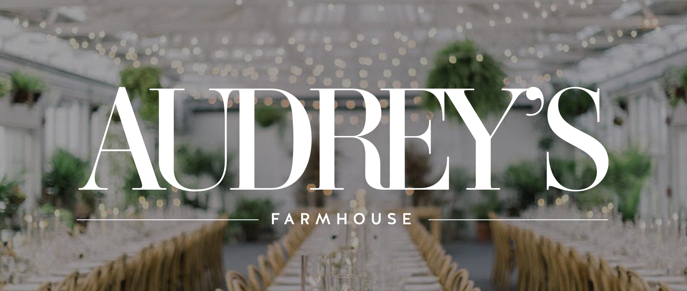 The Wedding Website of Lauren Rohrig and Michael Rotondi