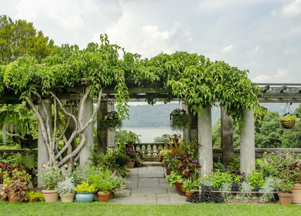 The Wedding Website of Margaret Davidson and Connor Flood