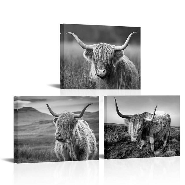 HOMEOART Highland Cow Wall Art Black and White Cow Picture Prints Home Decor Framed Ready to Hang 12x16inchx3 Pieces