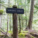 Hike
