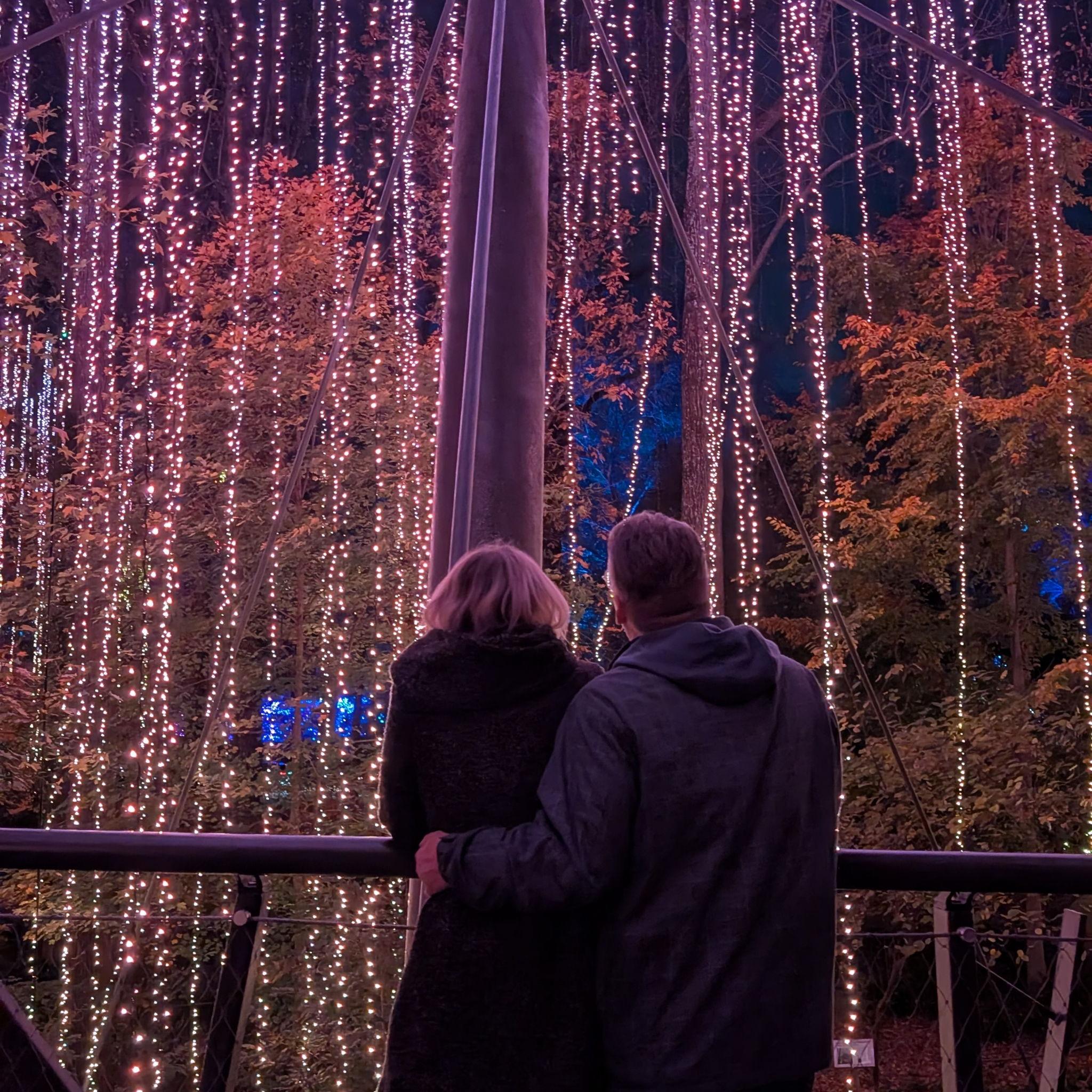 Atlanta Botanical Gardens Festival of Lights