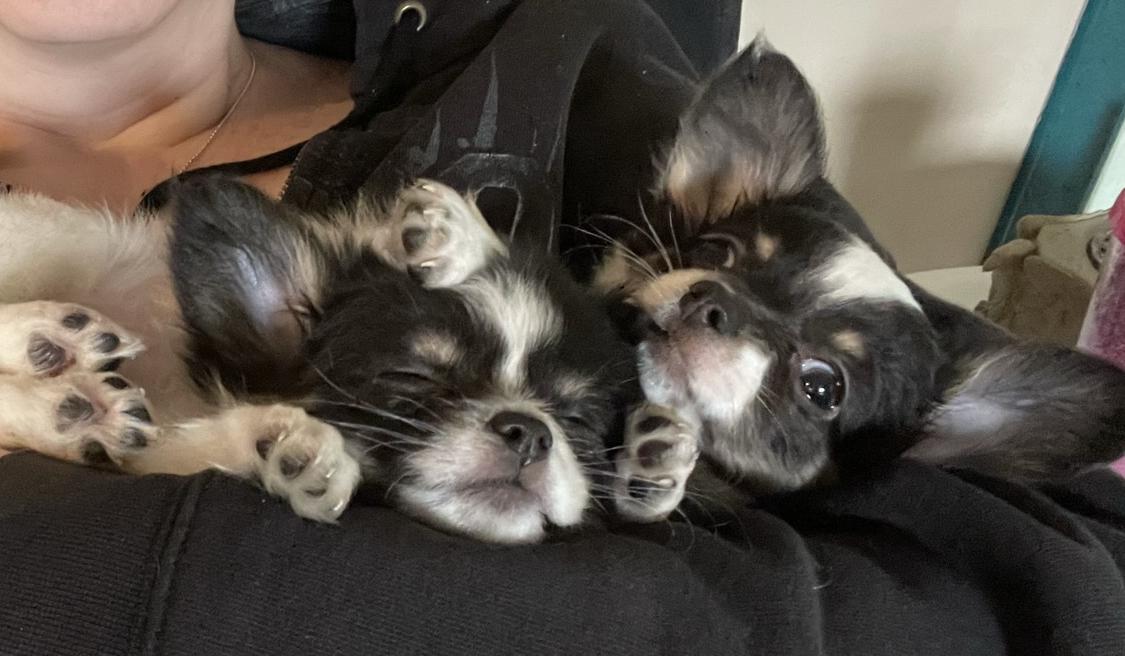 9262ae09-401e-4924-a51a-e206a46c6eaf