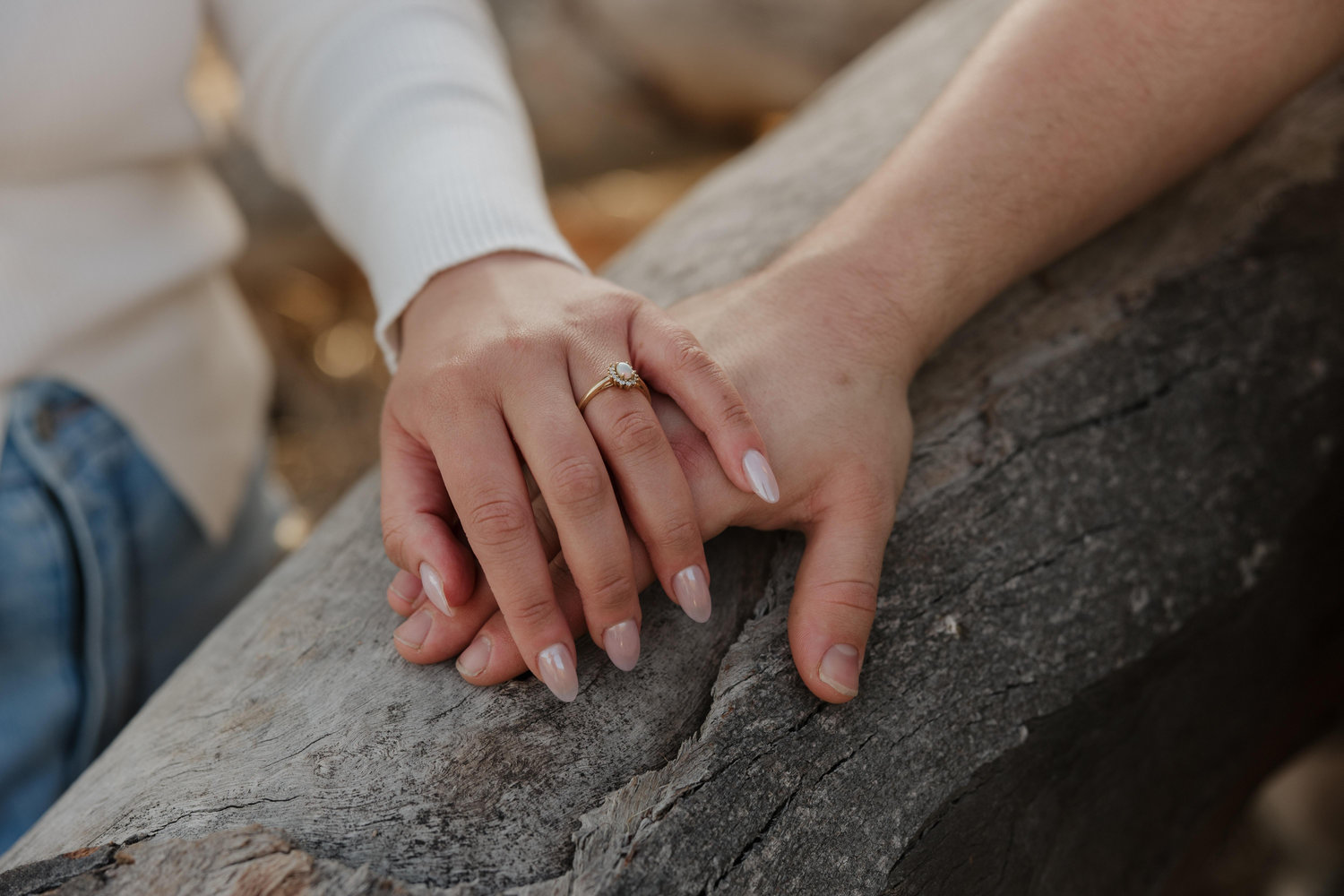 The Wedding Website of Tanner Losson and Prescilla Briones