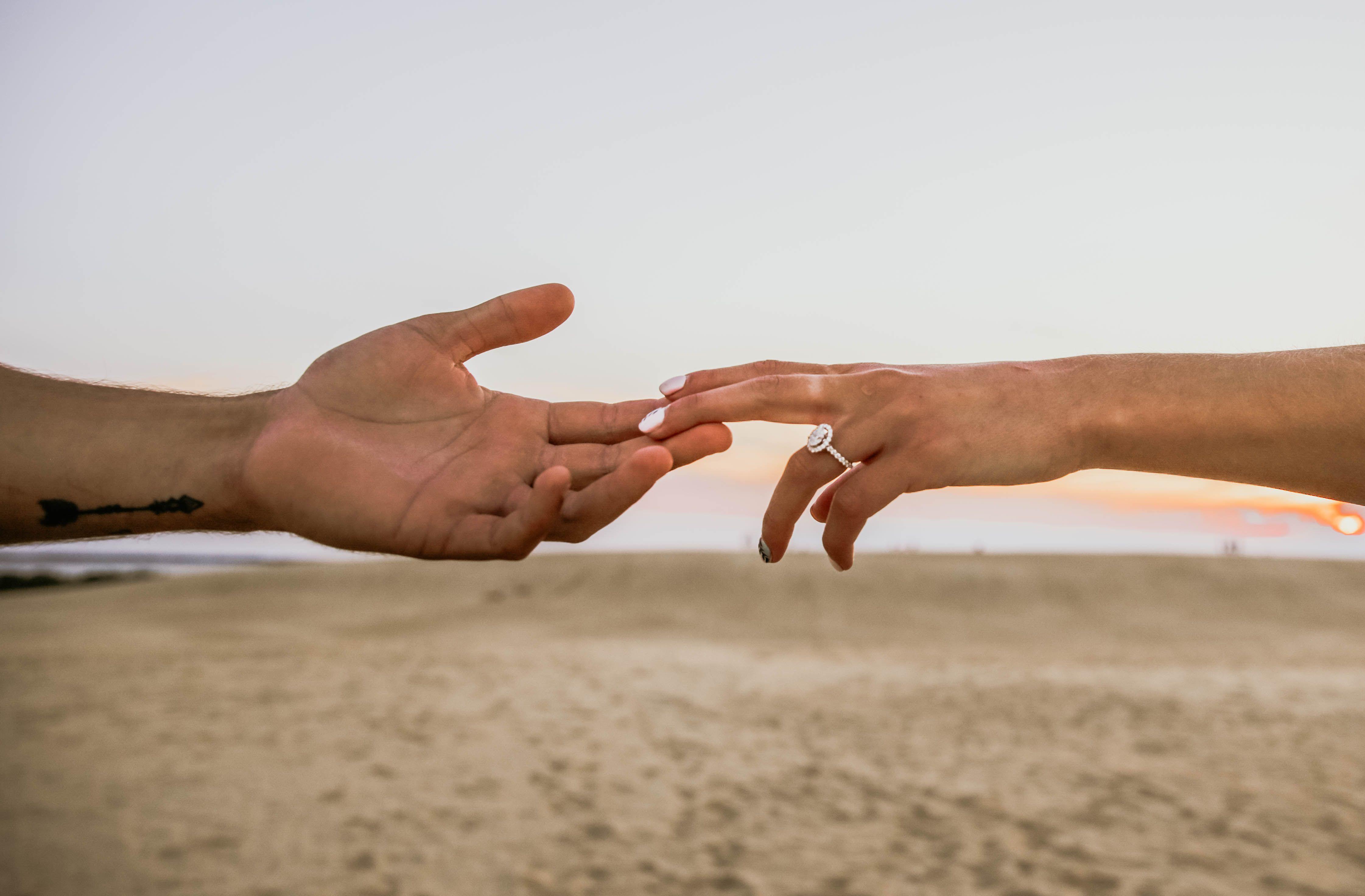 The Wedding Website of Sydney Sheldon and Chandler Clontz