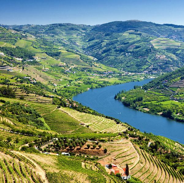 Douro Valley Wine Tour