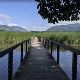 Constitution Marsh Audubon Center and Sanctuary