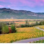 Napa Valley