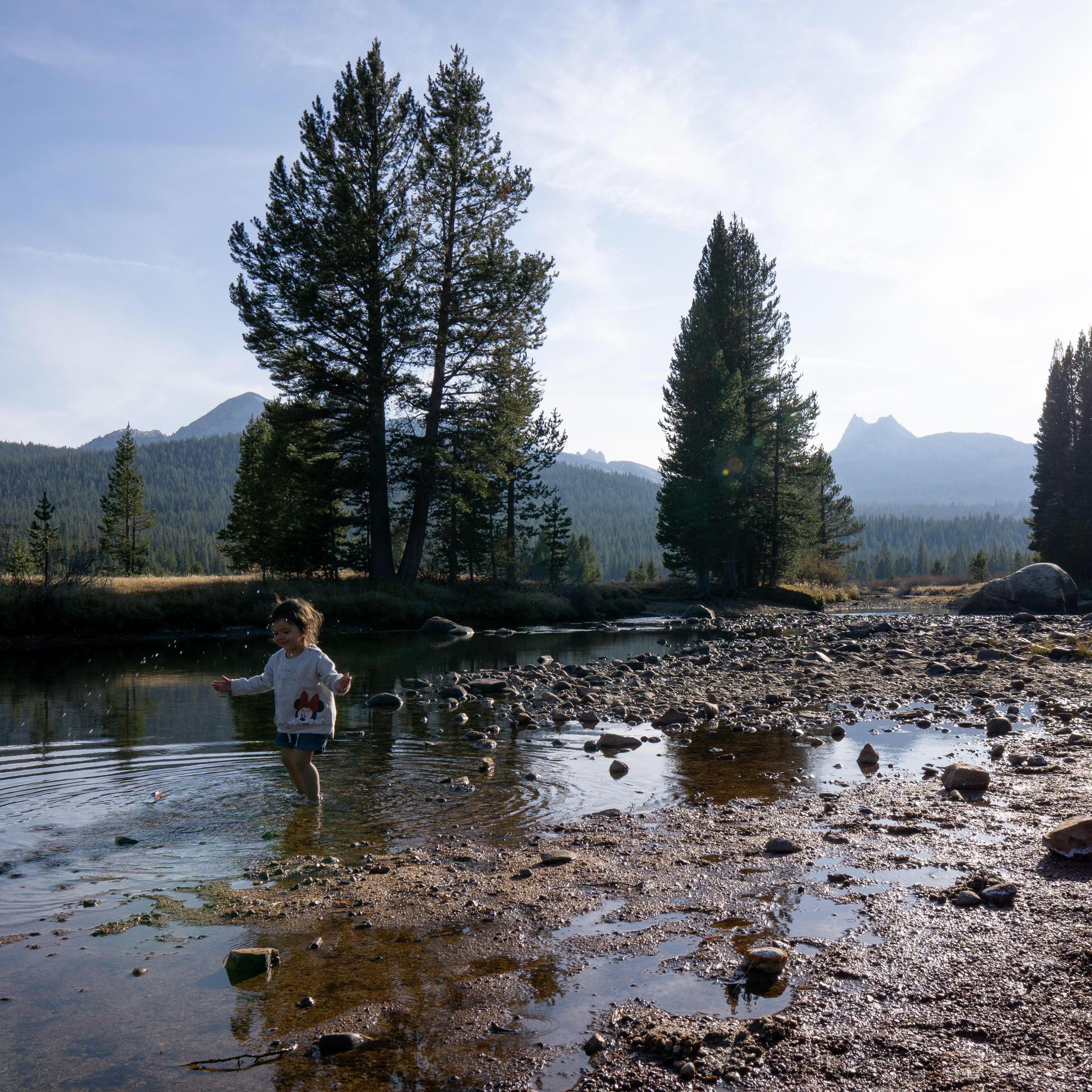 Tuolumne Meadows