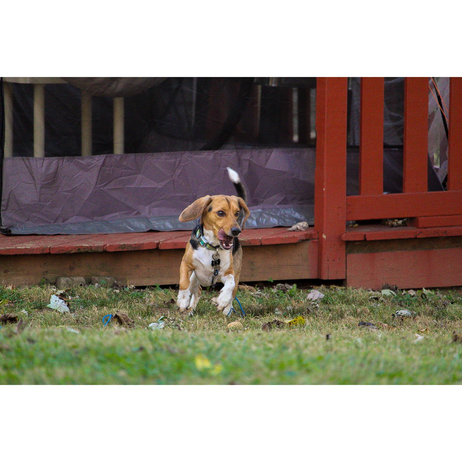 Proposal Day - October 22nd, 2023