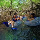 Xel-Ha Park By Xcaret: 20 Family Inclusive Activities