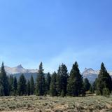 Tuolumne Meadows