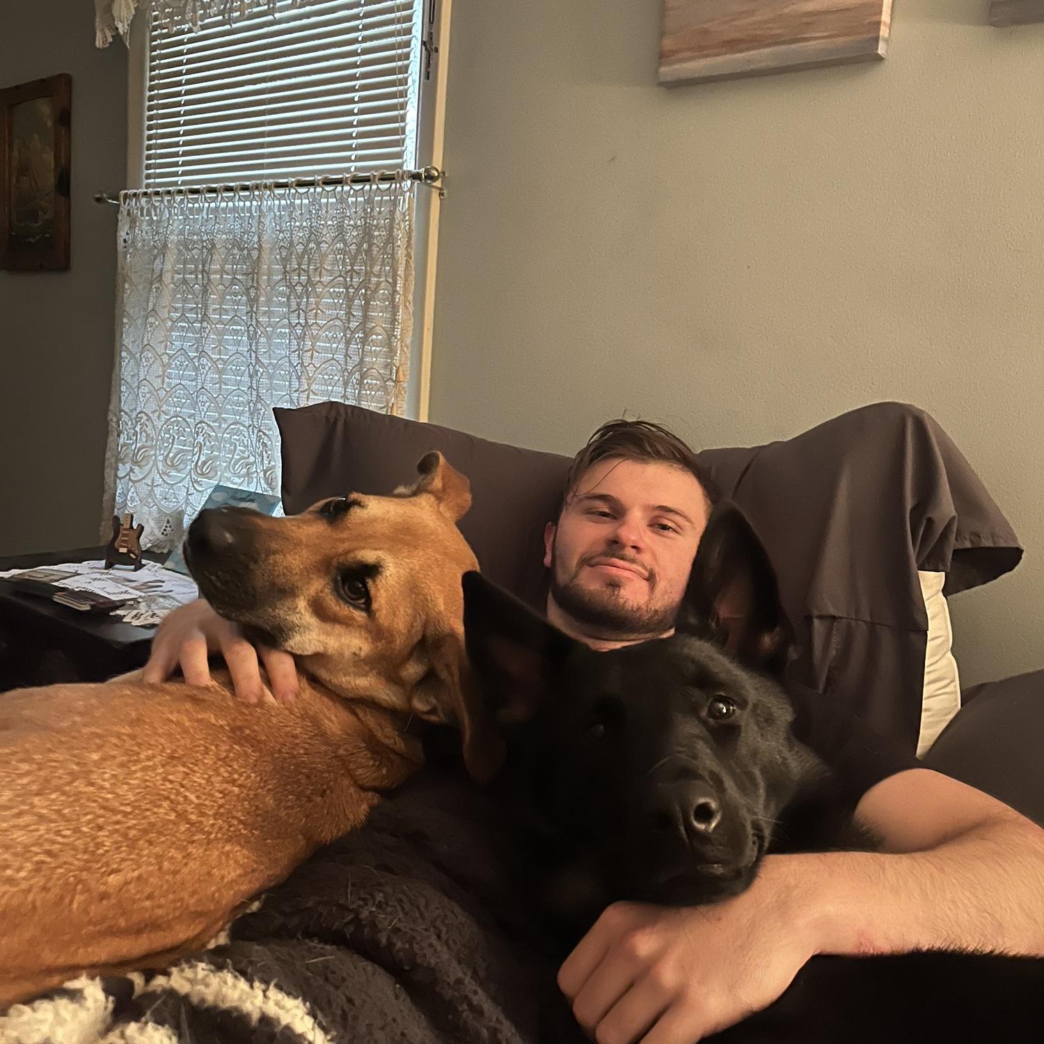 Our cuddle buddies Heineken and Stella 😍