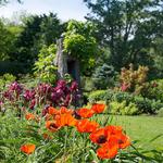 Cornell Botanic Gardens