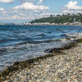 Alki Beach Park