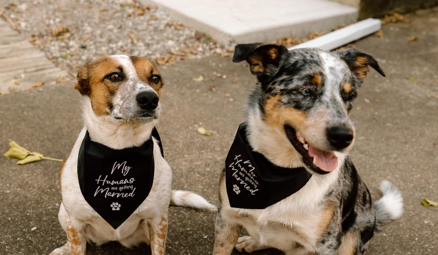 The Wedding Website of Delaney Dupuis and Anthony Dupuis
