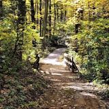 Leadmine Mountain Trail (Main Entrance)