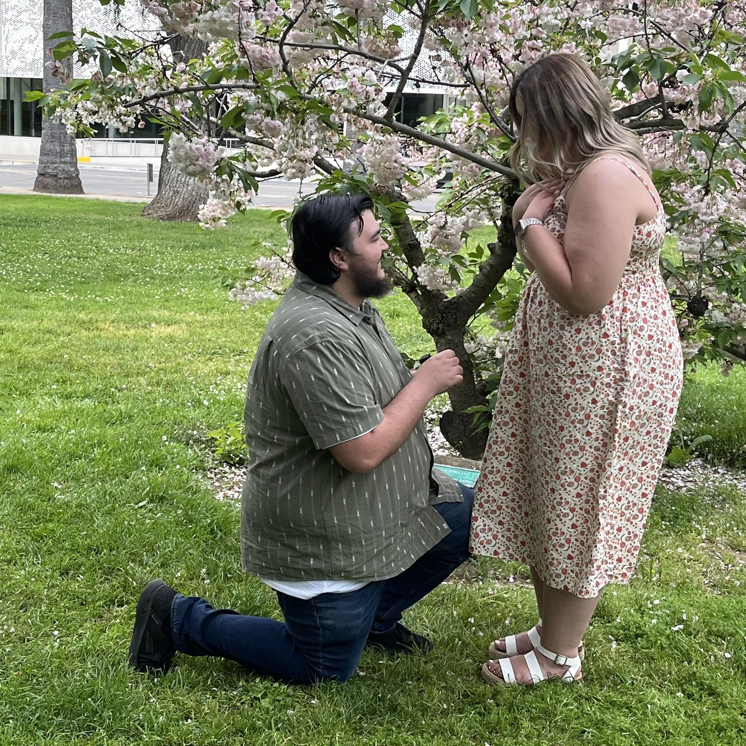 The proposal!
