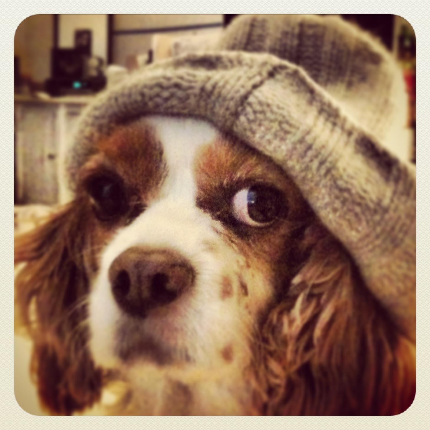 Hipster Lola