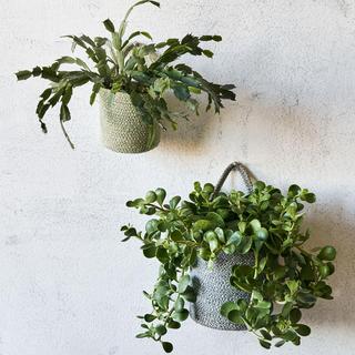 Melia Hanging Basket