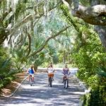 Sea Pines Bike Rentals